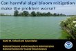 Can harmful algal bloom mitigation make the problem worse? · • Clay flocculation of Microcystis in Chesapeake Bay ... • Cell harvesting and removal • Water column mixing Chemical