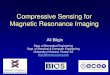 Compressive Sensing for Magnetic Resonance Imagingdcc/Programs/Program... · – Diffusion-Weighted MRI – Dynamic Contrast Enhanced MRI ... Magnetic Resonance Imaging The Nobel