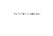 The Origin of Species PP - Mr. Steckle's SciencePagestecklescience.weebly.com/uploads/2/3/2/2/23227308/...Concept 24.4: Speciation can occur rapidly or slowly and can result from changes