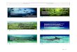 Costa Rica – guardian of natural capital · 15 Feb 2016 CMS MOS2, Costa Rica, February 2016 4 . Sharks MOS2! 2014 Final ProjectReport 265–Assessment of the Gaza Fishery of the