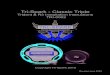 Classic Triple V3 Triple V3 Web (3).pdf · Thank you for purchasing the Tri-Spark Classic Triple Ignition system. For your ... If the LED is always on or does not switch on within
