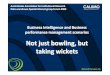 Not just bowling, but taking wickets · Brisbane, Sydney, Melbourne, London => Partners in the United States and Australia Focused, professional BI for BPI => offering the BI, the