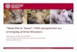 Kid in Town”: FAO perspective on...FAO Global Mandate • Improve ... • Dec 08‐Jan 2009 ‐Iran (detected in 3 wild boar) • July 2012 ‐Ukraine (single intro in pigs) •
