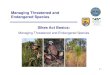 Managing Threatened and Endangered Species Sikes Act Basics...Managing Threatened and Endangered Species Sikes Act Basics: Managing Threatened and Endangered Species 6-1 . Managing