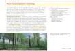 SECTION 3 How Ecosystems Change · How Ecosystems Change Figure 16 Taller beech trees com-pete with shorter, young beech trees for sun and make it hard for the younger trees to survive