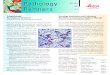 Histology Automation and Laboratory Workflow: Is Automation … · 2015-06-30 · Over the years, histology processes have evolved to enable the histotechnologist to produce finished