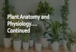 Plant Anatomy and Physiology…. Continued...Roots: Structure The outside of the root is made of epidermal tissue. Water and nutrients pass through epidermal tissue and enters the
