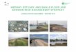 MEDWAY ESTUARY AND SWALE FLOOD AND …...MEASS will guide the approach taken to manage coastal flood and erosion risk around the Medway and Swale estuary over the next 100 years. To