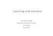 Learning and memory - online.itp.ucsb.eduonline.itp.ucsb.edu/.../pdf/...Generalization_Learning_Memory_upload… · 10/01/2018  · Learning and memory. Memory of examples vs . learning