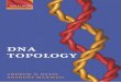 DNATopologydl.booktolearn.com/.../9780198506553_dna_topology_7f32.pdf · 2019-06-24 · Chapter 6, on the biological consequences of DNA topology, has been revised, reorganized and