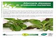 Alternaria diseases t in production nurseries · Alternaria leaf spot can often be confused with leaf spots caused by other fungi, e.g. Colletotrichum in particular, but also other