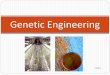 Genetic Engineering€¦ · What is genetic engineering? Genetic engineering is the direct modification of an organism’s genome, which is the list of specific traits (genes) stored