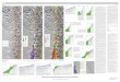 Offshore Shallow Structure and Sediment Distribution ... · Offshore Shallow Structure and Sediment Distribution, Point Sur to Point Arguello, Central California By Samuel Y. Johnson,1