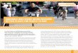 Equitable bike share means building better places for people to ride · 2016-07-20 · described in other reports,2 bike share can help increase overall bike ridership at accelerated