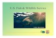U.S. Fish & Wildlife Service · All CITES listed wildlife must be imported or exported through one of the following designated ports: Anchorage, Alaska Atlanta, Georgia Baltimore,