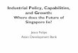 Where does the Future of Singapore lie? - Jesus Felipejesusfelipe.com/download/Jesus.Felipe.Industrial.Policy_slides.pdf · SGP SLE SLV SVK SVN SWE TCD SYR TGO THA TKMTJK TUN TUR
