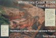Northland College Senior Capstone Project Tony …Northland College Senior Capstone Project Tony Young Established by USFWS Protect and restore the lower portion of Whittlesey Creek