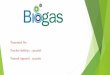 Presented By:- Prachet Sokhiya 13112066 Prateek Agrawal ... · Processing of Biogas The scrubbing of the biogas in order to remove impurities that are generated during the digestion