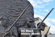 DC Black History cal2020 · Americans about the importance of black history, and the Civil Rights movement focused Americans of all color on the subject of the contributions of African