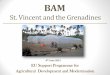 BAM – St. Vincent and the Grenadines€¦ · BAM Project Development Problem Tree & Log Frame Concept Papers Stakeholder Analysis Risk Analysis Technical & Admin. Action Fiche (2012)