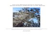 Tree Core Research Zones in Tasmania: Spatial Analysis of ...dpipwe.tas.gov.au/Documents/Conifer spatial analysis report.pdf · Spatial Analysis of Rainforest Conifer Species Report