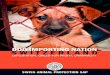 DOG IMPORTING NATION SWITZERLAND - Tierschutz · 4 SAP Report on “Gone to the dogs”: The illegal dog trade and importation promote animal suffering and criminality, overview in