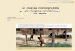 La chasse commerciale en Afrique centrale II. Une …Sitatunga Tragelaphus spekei 68 BOIS ET FORÊTS DES TROPIQUES, 2005, N 283 (1) FOCUS / COMMERCIAL HUNTING Vente à l’étal, en