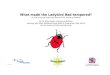 What made the Ladybird Bad-tempered - Teaching Ideas · Web viewRescue lost ladybird larvae: Ladybirds do not always lay their eggs near a food source and the larvae are not very