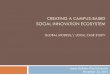 Creating A CAMPUS-BASED social InnovatIoN ECOSYSTEM …€¦ · 23/11/2012  · CREATING A CAMPUS-BASED SOCIAL INNOVATION ECOSYSTEM GLOBAL MODELS// LOCAL CASE STUDY James Halliday