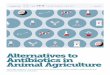 Alternatives to Antibiotics in Animal Agriculture...approach to improve public policy, inform the public, and invigorate civic life. ... Because the use of antibiotics in any setting