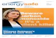 quest to save lives - Energy Safe Victoria€¦ · energysafe issue 32 For all the latest energy safety news visit . Powerlines and vegetation management – new guide highlights