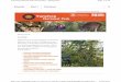 Yanchep National Park eNewsletter - Spring 2015 Page 1 of 10 · • Nearer to Nature ‘Sunlit Spring 2015’ • News from Chocolate Drops • Spring gems in Yanchep National Park