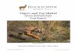 Tigers and Taj Mahal - Nature Manitoba · Trip Report – RWT India ... Just a short drive later, we were entering the legendary Ranthambore National Park in our open truck with great