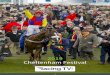 2019 Cheltenham Festival - Racing TVi · Racing TVi is the place to go for every single one of the 28 Cheltenham Festival contests. Tune in and you won’t miss a jump 5 Number of