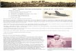 Newsletter 367th Fighter Group - WordPress.com · 2018-03-05 · 2 367th Fighter Group newsletter – Issue # 11 - July 2015 Stoney Cross airfield looking north on April 30, 1944