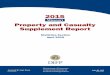 Missouri Property and Casualty Supplement Reportinsurance.mo.gov/reports/suppdata/documents/2015PropertyCasualt… · PREFACE The 2015 Missouri Property & Casualty Supplement Report