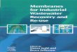 Membranes for Industrialssu.ac.ir/.../wastewater_reuse/membran/Untitled7.pdf.pdf · 2015-06-29 · Mann and Liu Industrial water reuse and McGraw-Hill 1999 wastewater minimization