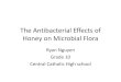 The Antibacterial Effects of Honey on Microbial Flora science/PJAS/PJAS 14 … · • Anti-virals • Anti-fungals • Anti-protozoals • Iodine • Tryclosan • Bleach Natural