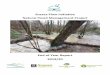 Sussex Flow Initiative Natural Flood Management Project · Practical Delivery ... The Sussex Flow Initiative helps to develop new approaches to Natural Flood Management (NFM) across