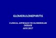 GLOMERULONEPHRITIS - acoi.org · glomerulonephritis proliferative clinical approach to proliferative gn is based on two criteria 1.h&p - systemic or renal 2.complement - low or nl