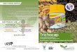 Trichocap Brochure Outside RGB - Codagu Agritechcodaguagritech.com/.../06/Trichocap-Brochure-Outside-RGB.pdf · 2017-06-21 · Trichocap Brochure Outside RGB Author: Keith Ponceno