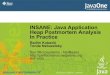 INSANE: Java Application Heap Postmortem Analysis In INSANE â€“ Heap Analysis Tool Requirements Simple