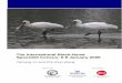 The International Black-faced Spoonbill Census, · Y.T. Yu and C.C. Wong The Hong Kong Bird Watching Society Ltd Abstract The annual International Black-faced Spoonbill Census was