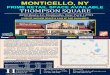 Thompson Sq flyer - Heidenberg Properties€¦ · Thompson Square is a 127,444 square foot shopping center located in Monticello, New York. The shopping center includes a 54,300 sf