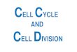 CELL CYCLE AND CELL DIVISION · It is the division of protoplast of a cell into two daughter cells after Karyokinesis (nuclear division). Animal cytokinesis : Appearance of furrow