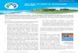 The Role of Dairy in Sustainable Nutrition · 2016-08-01 · The Role of Dairy in Sustainable Nutrition 1 Á Á Áiddairnutritionor P Global pertise in airy The Role of Dairy in Sustainable
