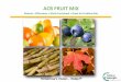 ACB FRUIT MIX - Active Concepts, LLC€¦ · Officinarum (Sugar Cane) Extract, Acer Saccharum (Sugar Maple) Extract, Citrus Aurantium Dulcis (Orange) Fruit Extract, Citrus Medica
