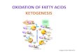 OXIDATION OF FATTY ACIDS KETOGENESIS · β-OXIDATION OF FATTY ACIDS. REMINDER: activation by bonding to CoA Acetyl-CoA is a thioester! - biological meaning of thioester: coenzyme