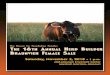 Brink Livestock - HE 16 TH NNUAL HERD BUILDER F Sbrinkbraunvieh.com/wp-content/uploads/2018/10/Herd...Videos & Supplement Information Look for videos on a sampling of the sale cattle
