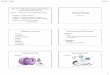Unit 1: Introduction to Pathophysiology Cellular Biologyfalkowl/documents/Bio217Sp12... · Bio 217 Pathophysiology Class Notes Professor Linda Falkow •Unit 1: Introduction to Pathophysiology